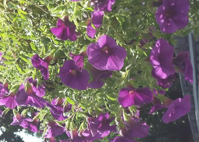 Garden Apartment Opatija