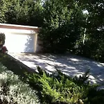 Green Garden