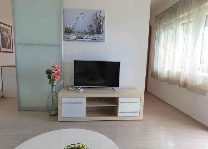 绿色花园公寓 *